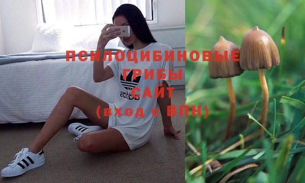 амфетамин Нязепетровск